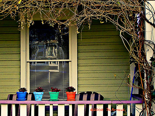 2008 01 19 Four Winter Pots 