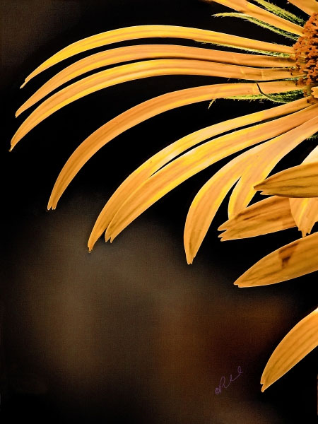 Flower 8604 