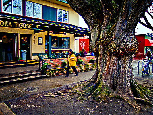 2008 02 25 Urban Forest, No. 6