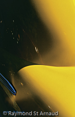 Pre-Millennium Landscape # 105