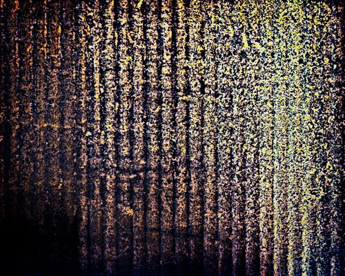 Concrete Forest