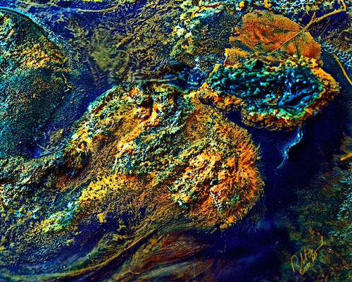 Organics, No. 1