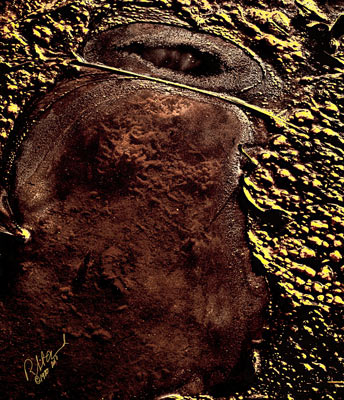 Organics, No. 10