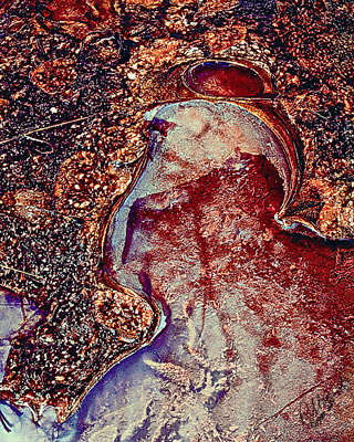 Organics, No. 3