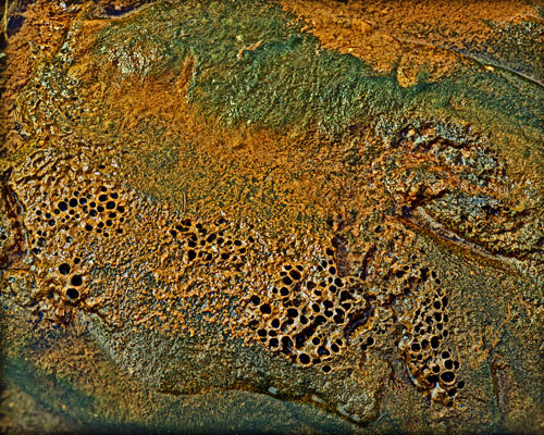 Organics, No. 8