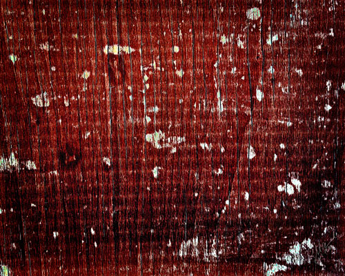 The Speckled Siituation