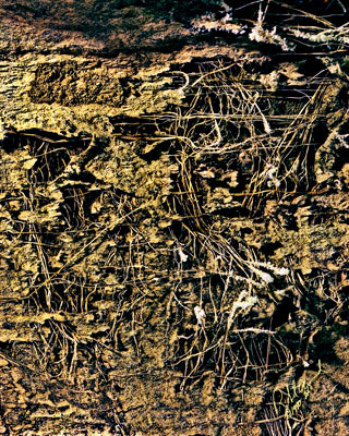 Untitled, No. 3